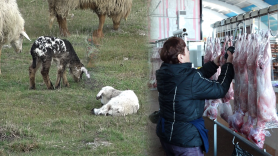 Mieii pentru masa de Paști se vând ca pâinea caldă. Care este prețul